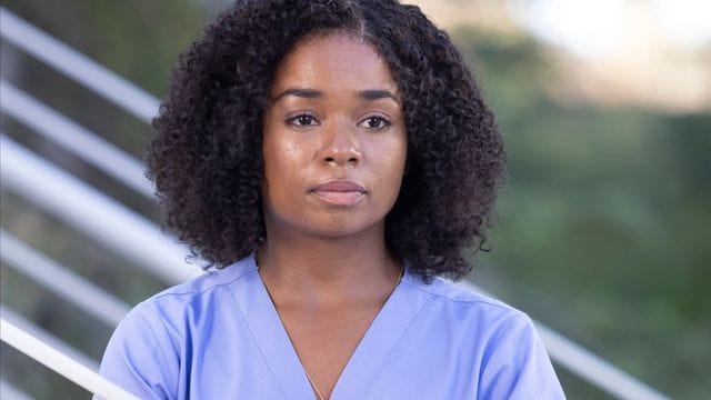 'Grey's Anatomy' Season 19 (3)