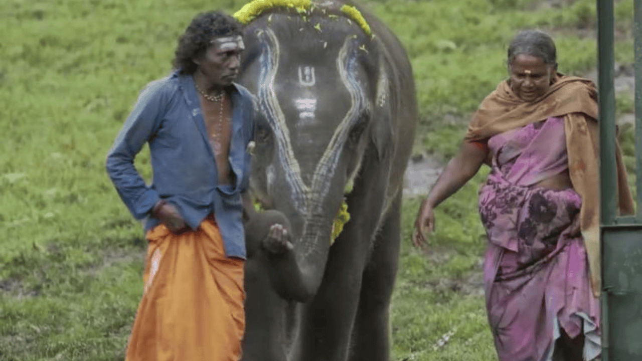 India’s The Elephant Whisperers Brings Home The Trophy 