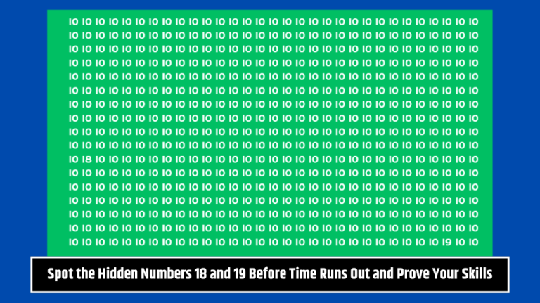 Spot the Hidden Numbers 18 and 19 Before Time Runs Out and Prove Your Skills