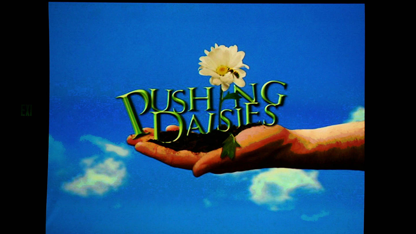 Pushing Daisies 2007 Summer TCA Tour